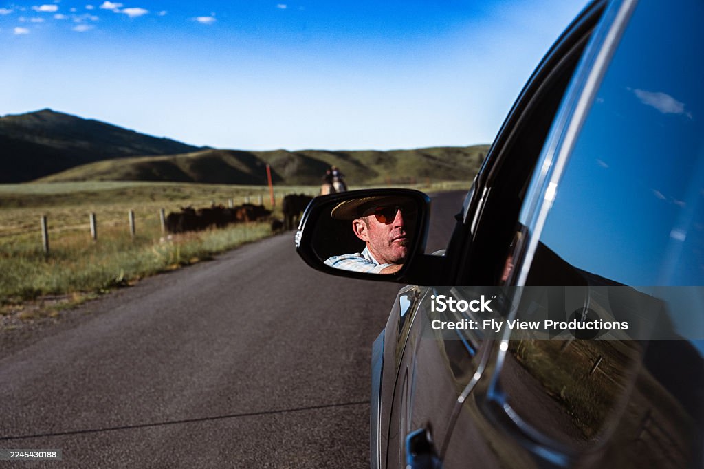A cowboy glances back through his truck’s mirror as cattle and riders move down a quiet Wyoming road surrounded by rolling hills and open pasture.