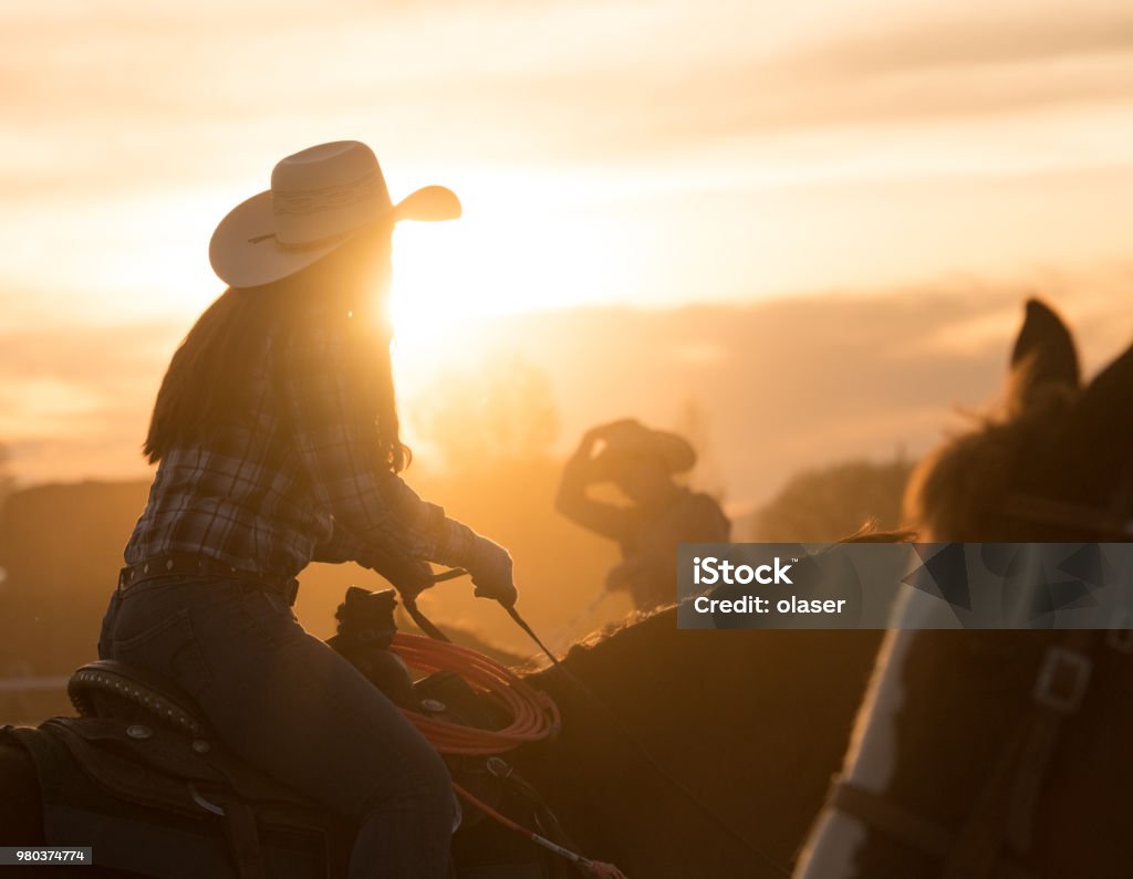 Cowgirl on horse, in silhouette against last sunlight